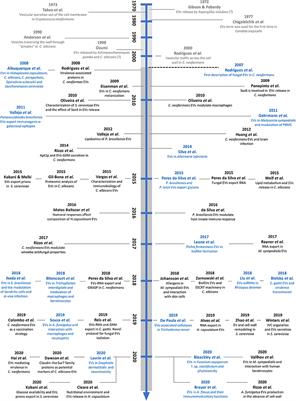 Extracellular Vesicles in Fungi: Past, Present, and Future Perspectives